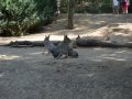 DSC_2692.JPG
